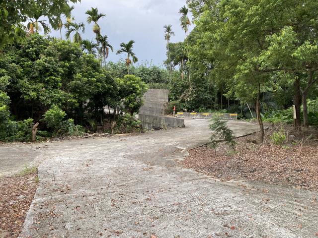南投竹山農地-1