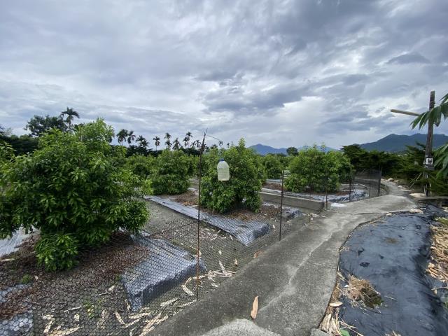 南投竹山農地-3