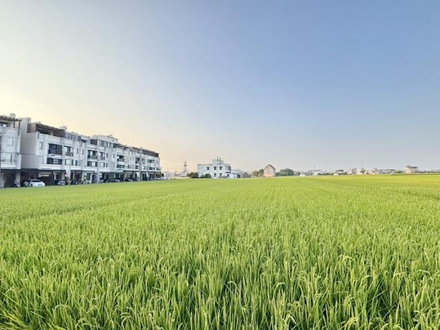 南投農地-0