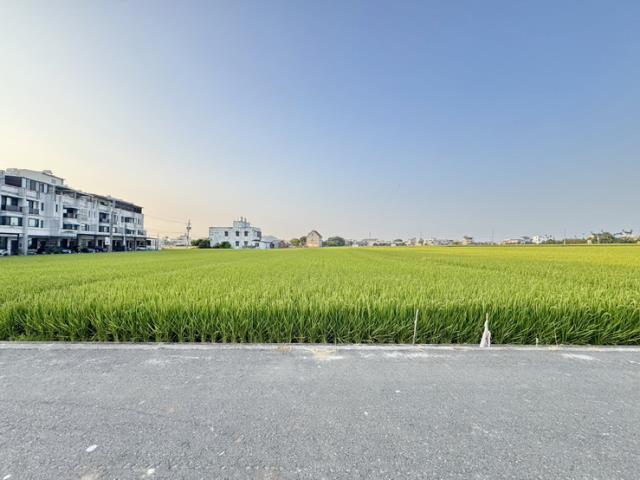 南投農地-3