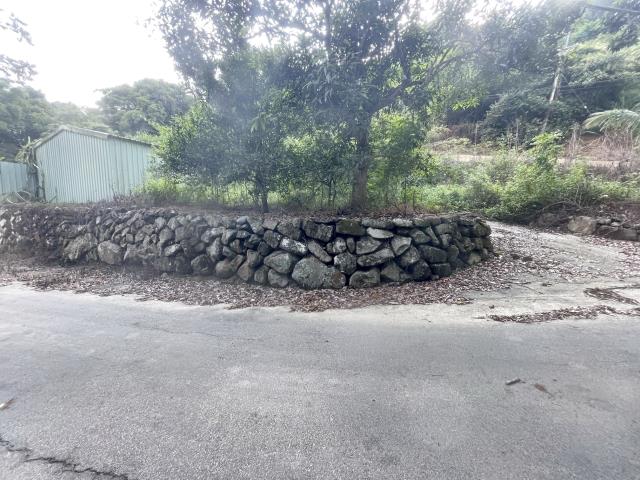 南投國姓農地-0