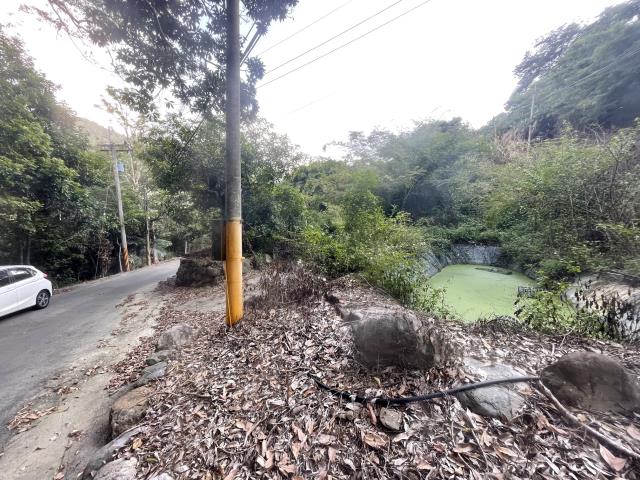 南投國姓農地-2