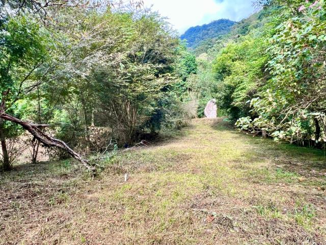 南投埔里農地-6